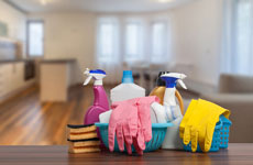 Regular Domestic Cleaning Pinner