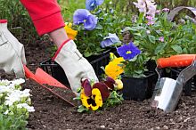 gardening services london