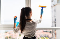 Window Cleaning Pinner